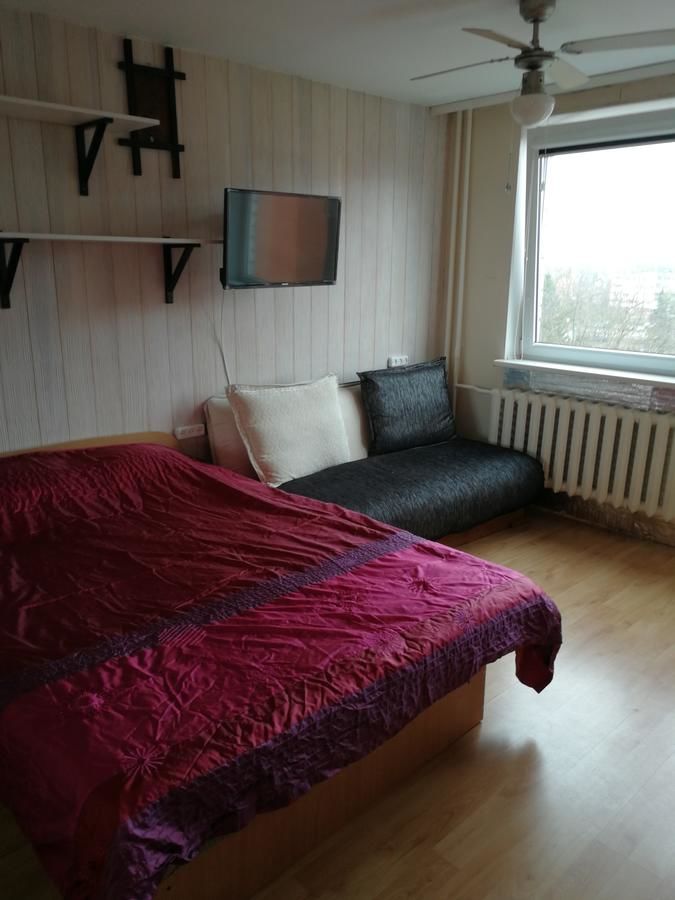 Апартаменты Flat, 1 room, study Паневежис-4